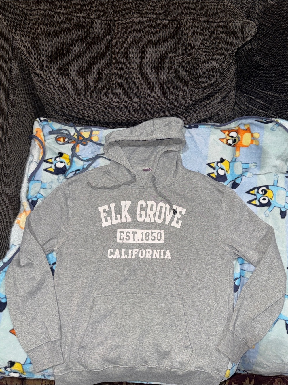 Men’s or Women’s Elk Grove California Grey Hooded Sweatshirt. Sz Med, warm! Rare